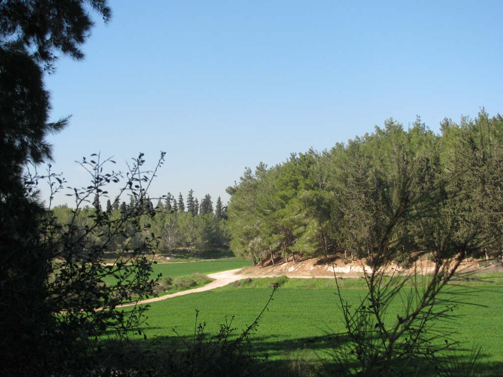 PikiWiki_Israel_7085_Ben-Shemen_Forest